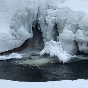 Meet your Posher, Nathaniel